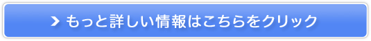 炵́uv́y110ԁz̔TCg